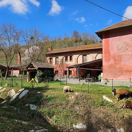 Agriturismo La.Ti.Mi.Da. Βίλα Cassine Εξωτερικό φωτογραφία