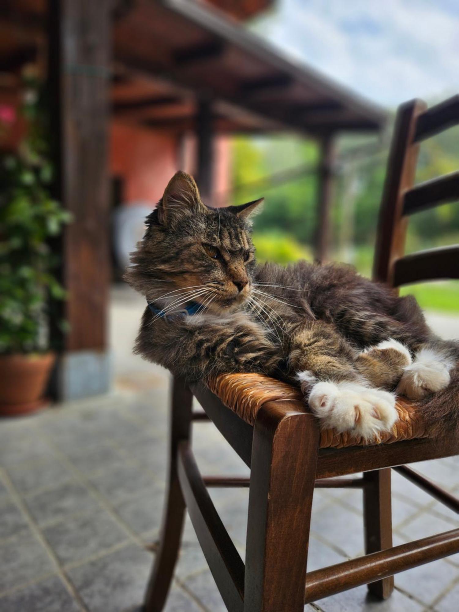 Agriturismo La.Ti.Mi.Da. Cassine Εξωτερικό φωτογραφία