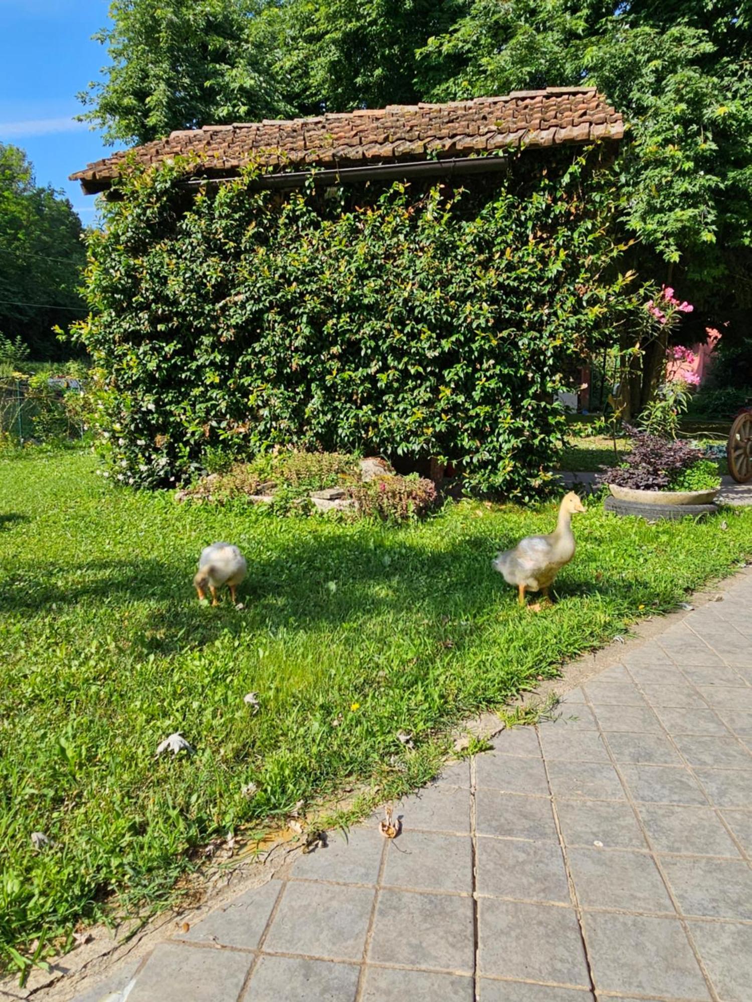 Agriturismo La.Ti.Mi.Da. Βίλα Cassine Εξωτερικό φωτογραφία