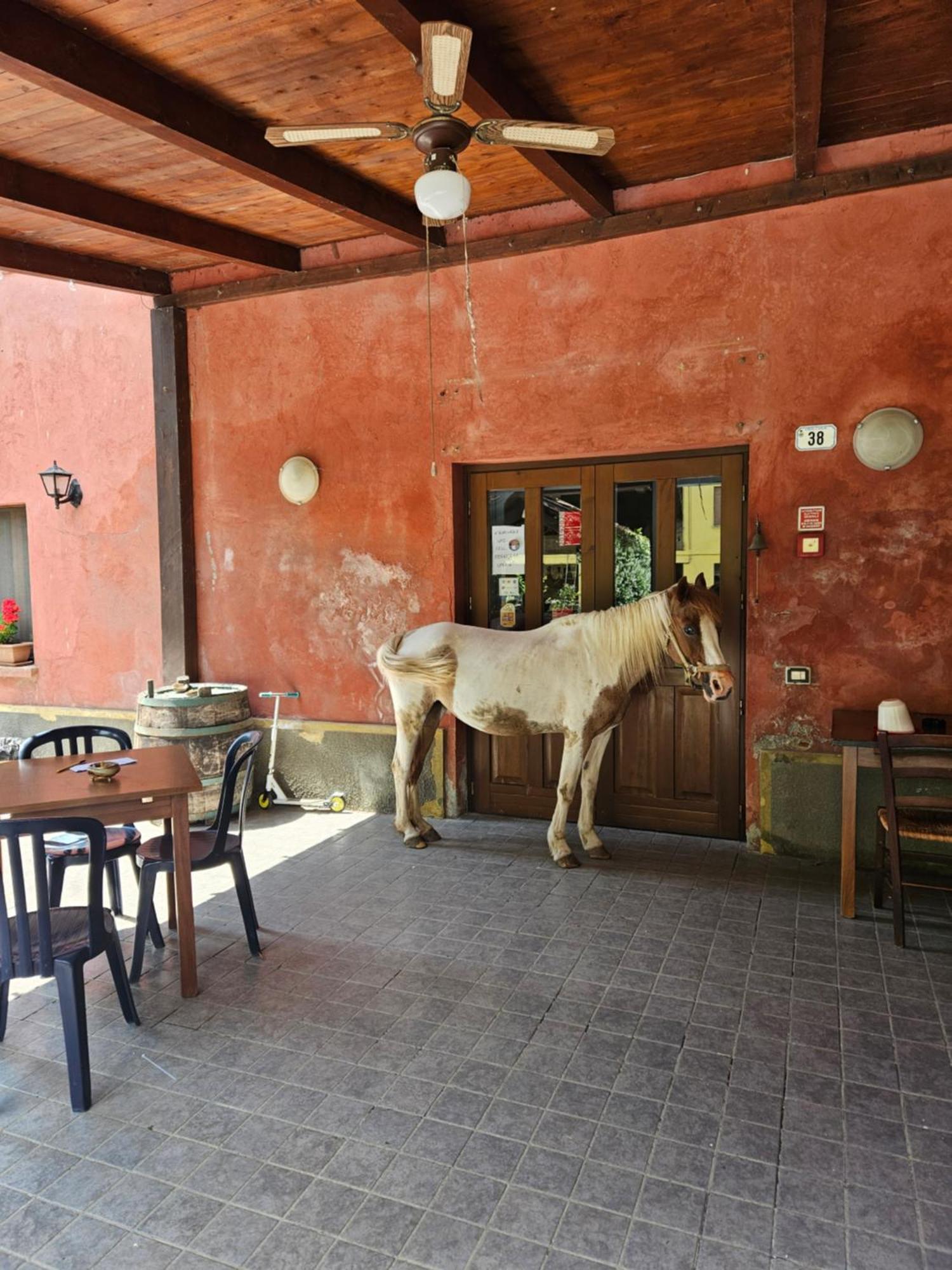 Agriturismo La.Ti.Mi.Da. Cassine Εξωτερικό φωτογραφία