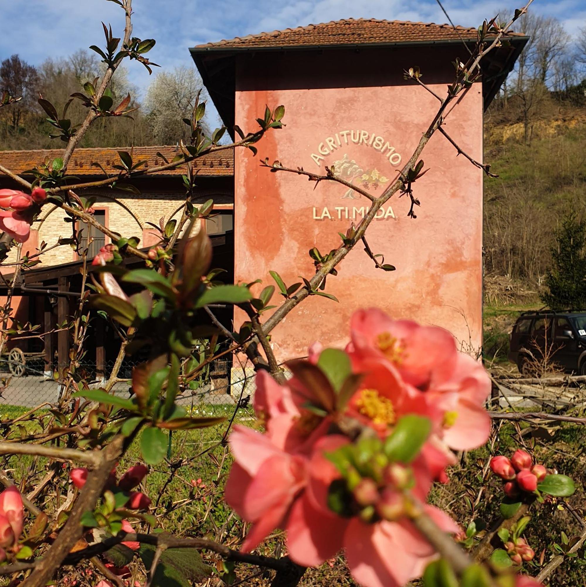 Agriturismo La.Ti.Mi.Da. Cassine Εξωτερικό φωτογραφία