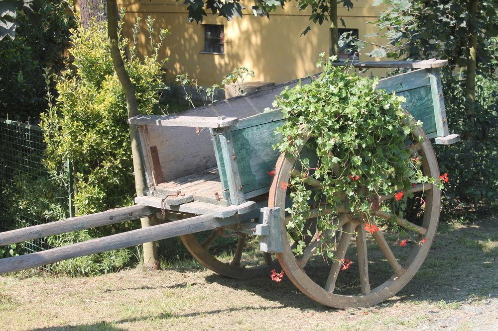 Agriturismo La.Ti.Mi.Da. Cassine Εξωτερικό φωτογραφία