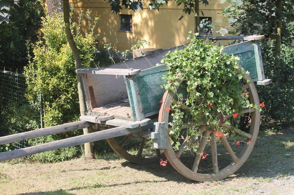 Agriturismo La.Ti.Mi.Da. Βίλα Cassine Εξωτερικό φωτογραφία